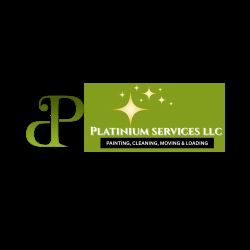 Platinium Services LLC