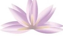 Phlox Official