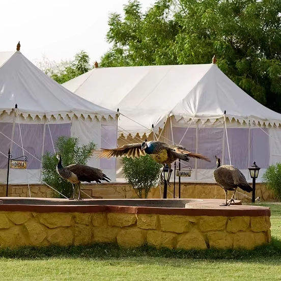 All Events Romantic Outdoor for Cottage Tent Elegant Classic Modern Design Cotton Metal Frame Customizable Size Portable for