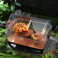 Elegant Luxury L Flat Reptile Tank Set  Hygrothermograph Sand  Transparent for Desktop Outdoor Use  Pumpkin House Heating Pad