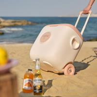 Hieler Cooler Box Eco Friendly PP Material Cold Retention Long Lasting 30QT Ice Cooler Box