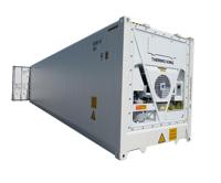 Reefer Refrigerated Containers 20ft & 40ft with Daikin/Doric Compressors Eco-Friendly & Low Maintenance for Sale