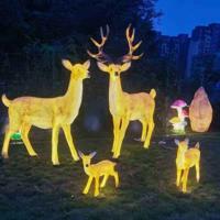 Ip65 Deer Shape Led Garden Light For Outdoor Customized Transparent Resin Body For New Year's Day Holiday Lighting Lawns Parks