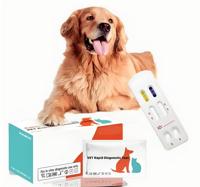 Canine Antibody/Antigen Rapid Test Kit Diagnostic Veterinary Instrument CDV CPV CCVAg CAV-IIAg Rabies CE Certified 2-Year Shelf