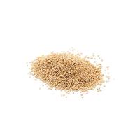 Pure sorghum grains wholesale bulk stock ready for fast shipment