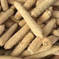 Bulk Corn Cob Briquettes Compressed Sawdust Natural Biomass Fuel High Quality Long Burning Eco-Friendly Cooling Warming Energy