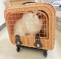 2-in-1 Foldable Rattan Metal Pet Carrier | Retractable Pull Rod Travel Bag for Cats Dogs Breathable Anti-Escape Design Outdoor