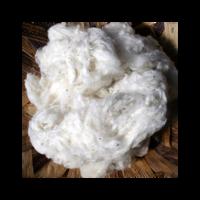 High quality raw cotton fiber for sale at wholesale price