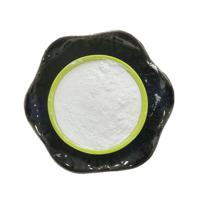 7631-86-9 High Quality Nano Grade Silica Powder Nano SIO2  with Ceramic Use
