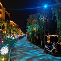 Waterproof LED Water Ripple Light Projector for Wedding and Party Decorations Water Wave Effect for Special Events