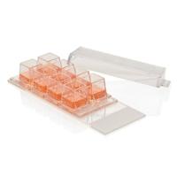Thermo Scientific Nunc Lab-Tek 8-Well Chamber Slide System for Biological Microscope Soda Lime Glass IP53 Rated Manual Focus