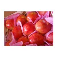 Best Quality Wholesale 100% Natural Sweet Delicious Egypt Origin Red Pomegranate Fresh Fruits at Competitive Price
