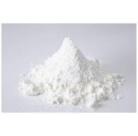 High Quality Portland Cement From Egypt Wholesale Construction Material Refractory Feature Cheap Price in Bulk